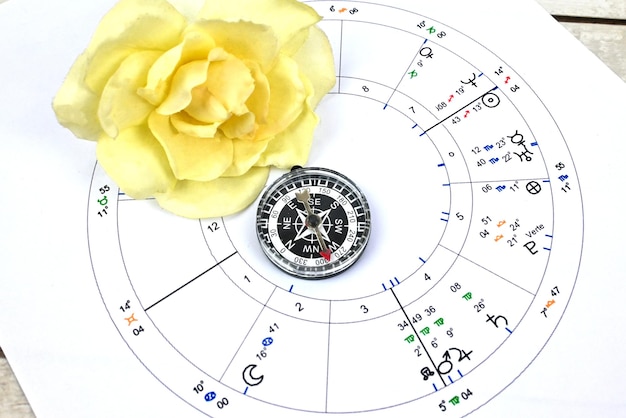 Metodologia astrologii wellness